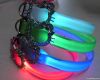 LED dog collar and leads