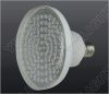 Common LED Spot Light