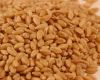 australian wheat suppliers,australian wheat exporters,australian wheat manufacturers