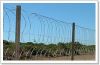 razor barbed wire