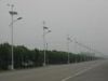 Solar-Wind Street Light