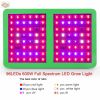 300W 600W 1200W 1800W LED Grow Lamps For Indoor Plants Flowering And Growing