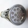LED Grow Light