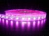 LED Flexible Strip(LT6...