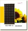 Monocrystalline Silico...
