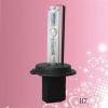 HID xenon bulb H7