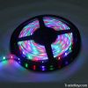 led strip rgb 24v 5m 5050