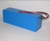LiFePO4 Battery (24V s...