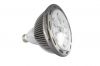 LED Spot light PAR38