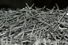 steel nails, wire nail...