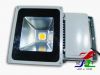 LED Flood light