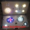 various LED demo case ...