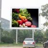 P20 LED Outdoor Full-c...
