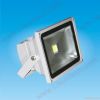 LED Flood Light