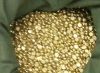 Gold , Copper Cathodes...