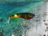 LED clear ABS fishing ...