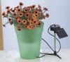 solar flower light