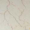 Shell Beige Marble Til...