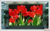 LED display Indoor PH6...