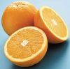 CITRUS ORANGE