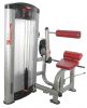 Biceps Curl