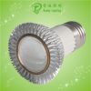 LED Spot Light