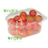 500g clear grape packing box