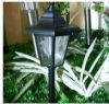 Solar light supplier