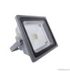 10W LED Floodlight