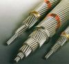 Aluminum conductor ste...