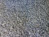 PUMICE STONE