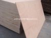 Door size plywood