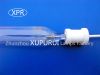metal halide lamp for ...