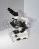 Binocular microscope