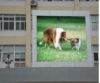 LED display