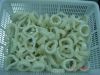frozen squid