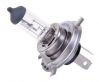 clear H4 halogen lamp ...
