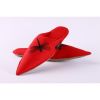 Red slippers, embroide...