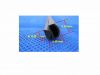 EPDM rubber seal strip...