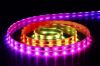led magic strip