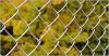 chain link fence