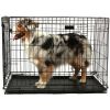 dog cage