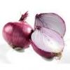 Fresh Chinese red/yellow Onion