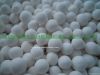 Activated Alumina Fluo...