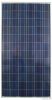 Poly Solar Module
