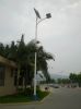 Solar Street Lamp