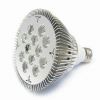 12W PAR38 LED Spotlight