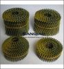 common coil nails