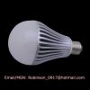 G80 12W LED globe bulb...