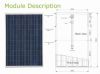 Polycrystalline Solar ...